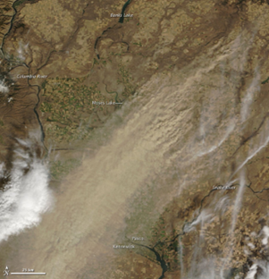 Figure 11.20 Palouse Region of Washington state during a dust storm. The dust plumes, moving NE to SW, are over 100 miles long. (NASA Earth Observatory, 2009)